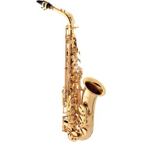 Saxofone Alto Eagle Sa501 Sax Laqueado Eb Com Case- M004989
